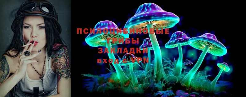 ОМГ ОМГ   Знаменск  Галлюциногенные грибы Psilocybine cubensis 